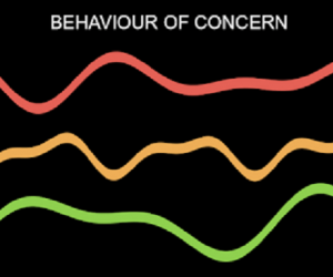 CHCCCS020 Assessment Answers – Respond Effectively to Behaviours of Concerns